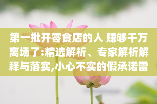 第一批開(kāi)零食店的人 賺夠千萬(wàn)離場(chǎng)了:精選解析、專(zhuān)家解析解釋與落實(shí),小心不實(shí)的假承諾雷