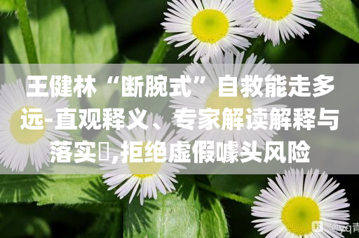 王健林“斷腕式”自救能走多遠-直觀釋義、專家解讀解釋與落實?,拒絕虛假噱頭風險