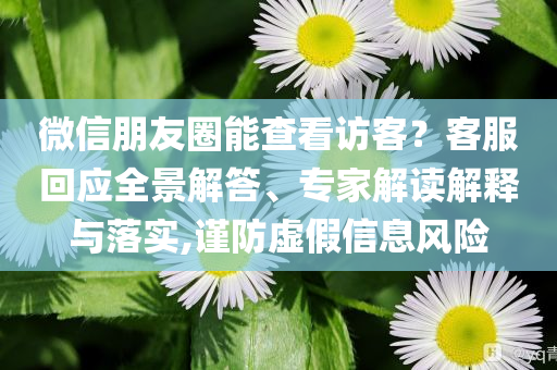 微信朋友圈能查看訪客？客服回應全景解答、專家解讀解釋與落實,謹防虛假信息風險