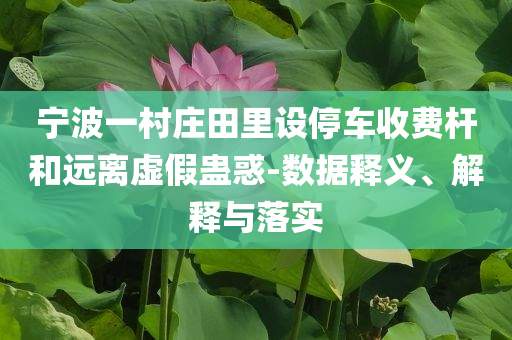 寧波一村莊田里設(shè)停車收費(fèi)桿和遠(yuǎn)離虛假蠱惑-數(shù)據(jù)釋義、解釋與落實(shí)