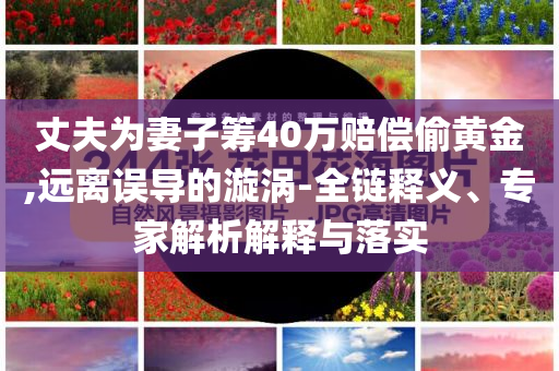 丈夫為妻子籌40萬賠償偷黃金,遠離誤導的漩渦-全鏈釋義、專家解析解釋與落實