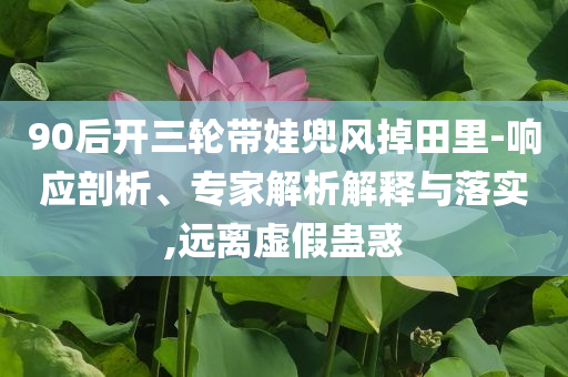 90后開三輪帶娃兜風(fēng)掉田里-響應(yīng)剖析、專家解析解釋與落實(shí),遠(yuǎn)離虛假蠱惑