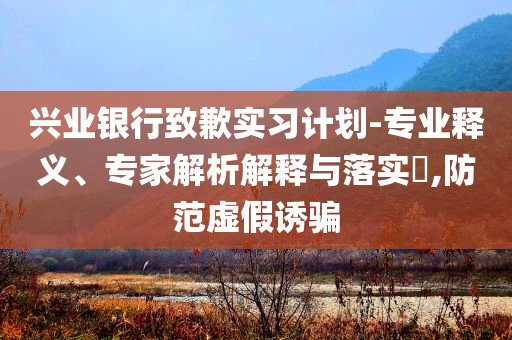 興業(yè)銀行致歉實(shí)習(xí)計(jì)劃-專業(yè)釋義、專家解析解釋與落實(shí)?,防范虛假誘騙