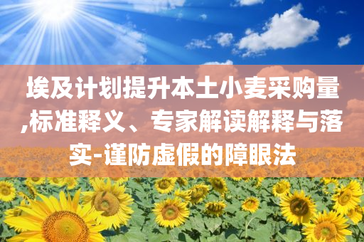 埃及計劃提升本土小麥采購量,標(biāo)準(zhǔn)釋義、專家解讀解釋與落實-謹(jǐn)防虛假的障眼法
