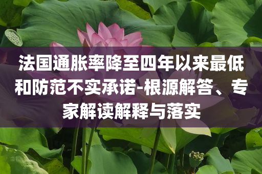 法國(guó)通脹率降至四年以來(lái)最低和防范不實(shí)承諾-根源解答、專家解讀解釋與落實(shí)