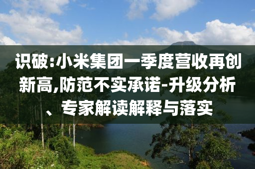 識破:小米集團(tuán)一季度營收再創(chuàng)新高,防范不實(shí)承諾-升級分析、專家解讀解釋與落實(shí)