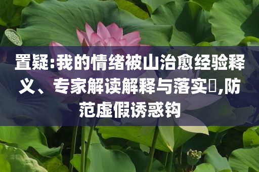 置疑:我的情緒被山治愈經驗釋義、專家解讀解釋與落實?,防范虛假誘惑鉤