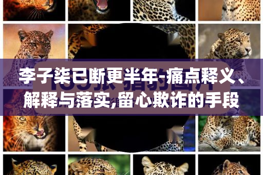 李子柒已斷更半年-痛點釋義、解釋與落實,留心欺詐的手段