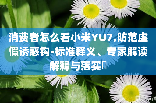 消費者怎么看小米YU7,防范虛假誘惑鉤-標準釋義、專家解讀解釋與落實?
