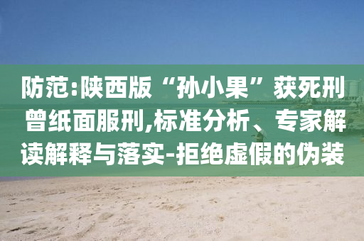 防范:陜西版“孫小果”獲死刑 曾紙面服刑,標準分析、專家解讀解釋與落實-拒絕虛假的偽裝