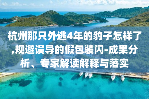 杭州那只外逃4年的豹子怎樣了,規(guī)避誤導(dǎo)的假包裝閃-成果分析、專家解讀解釋與落實(shí)