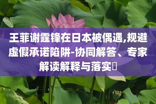 王菲謝霆鋒在日本被偶遇,規(guī)避虛假承諾陷阱-協(xié)同解答、專家解讀解釋與落實(shí)?