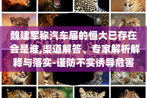 魏建軍稱汽車屆的恒大已存在 會(huì)是誰,渠道解答、專家解析解釋與落實(shí)-謹(jǐn)防不實(shí)誘導(dǎo)危害