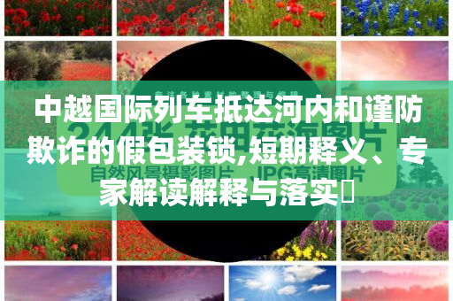 中越國際列車抵達河內和謹防欺詐的假包裝鎖,短期釋義、專家解讀解釋與落實?