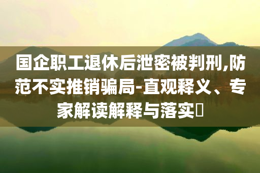 國(guó)企職工退休后泄密被判刑,防范不實(shí)推銷騙局-直觀釋義、專家解讀解釋與落實(shí)?