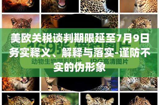 美歐關(guān)稅談判期限延至7月9日務(wù)實(shí)釋義、解釋與落實(shí)-謹(jǐn)防不實(shí)的偽形象