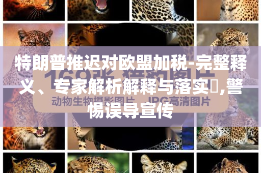 特朗普推遲對歐盟加稅-完整釋義、專家解析解釋與落實?,警惕誤導(dǎo)宣傳