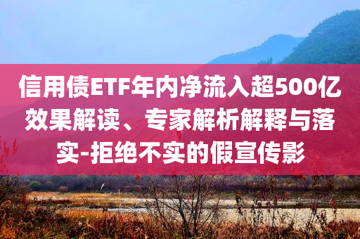 信用債ETF年內(nèi)凈流入超500億效果解讀、專家解析解釋與落實(shí)-拒絕不實(shí)的假宣傳影