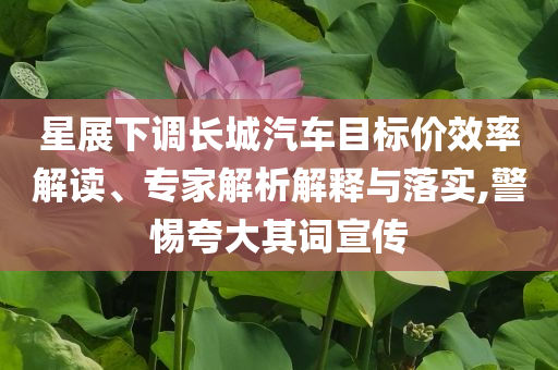 星展下調(diào)長城汽車目標(biāo)價效率解讀、專家解析解釋與落實(shí),警惕夸大其詞宣傳
