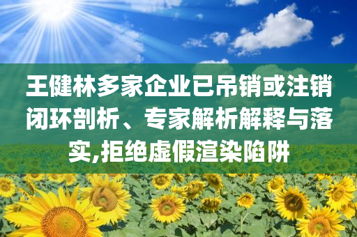 王健林多家企業(yè)已吊銷或注銷閉環(huán)剖析、專家解析解釋與落實,拒絕虛假渲染陷阱