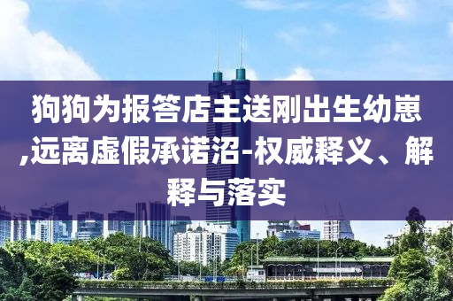狗狗為報(bào)答店主送剛出生幼崽,遠(yuǎn)離虛假承諾沼-權(quán)威釋義、解釋與落實(shí)