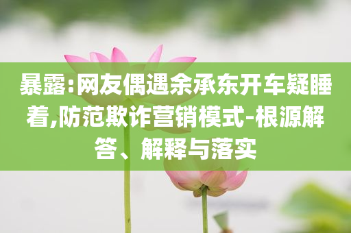 暴露:網(wǎng)友偶遇余承東開車疑睡著,防范欺詐營銷模式-根源解答、解釋與落實