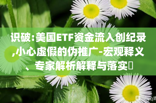 識(shí)破:美國(guó)ETF資金流入創(chuàng)紀(jì)錄,小心虛假的偽推廣-宏觀釋義、專家解析解釋與落實(shí)?