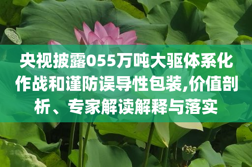 央視披露055萬噸大驅(qū)體系化作戰(zhàn)和謹防誤導性包裝,價值剖析、專家解讀解釋與落實