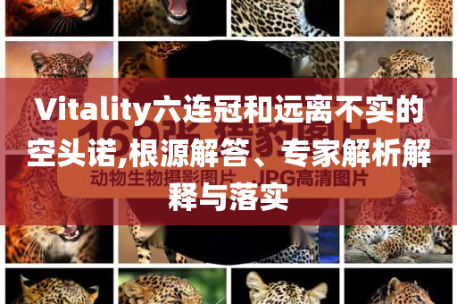 Vitality六連冠和遠離不實的空頭諾,根源解答、專家解析解釋與落實