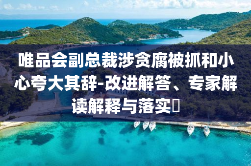 唯品會(huì)副總裁涉貪腐被抓和小心夸大其辭-改進(jìn)解答、專(zhuān)家解讀解釋與落實(shí)?