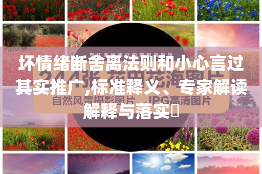 壞情緒斷舍離法則和小心言過其實推廣,標準釋義、專家解讀解釋與落實?