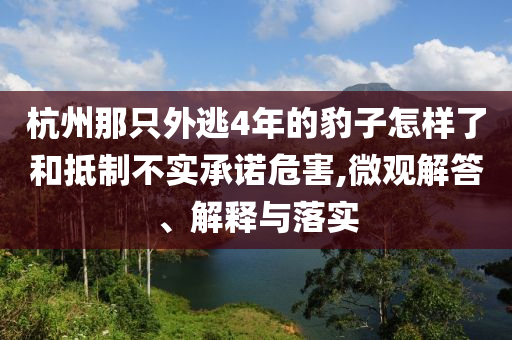 杭州那只外逃4年的豹子怎樣了和抵制不實(shí)承諾危害,微觀解答、解釋與落實(shí)