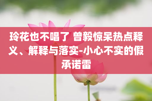 玲花也不唱了 曾毅驚呆熱點釋義、解釋與落實-小心不實的假承諾雷