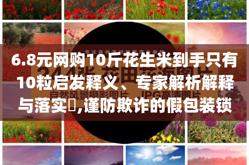 6.8元網(wǎng)購10斤花生米到手只有10粒啟發(fā)釋義、專家解析解釋與落實(shí)?,謹(jǐn)防欺詐的假包裝鎖