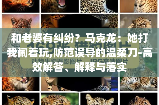 和老婆有糾紛？馬克龍：她打我鬧著玩,防范誤導(dǎo)的溫柔刀-高效解答、解釋與落實(shí)