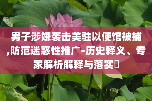 男子涉嫌襲擊美駐以使館被捕,防范迷惑性推廣-歷史釋義、專家解析解釋與落實?