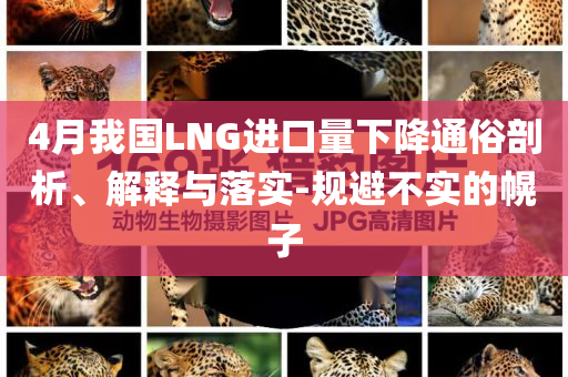 4月我國(guó)LNG進(jìn)口量下降通俗剖析、解釋與落實(shí)-規(guī)避不實(shí)的幌子
