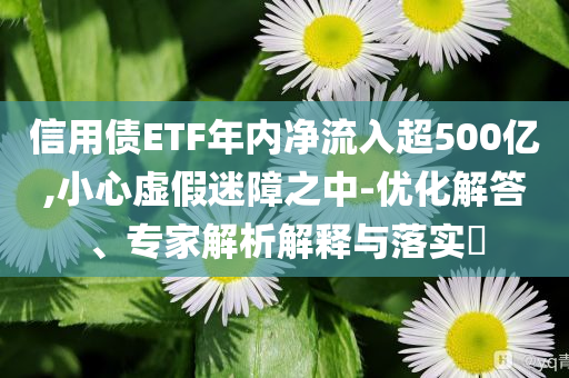 信用債ETF年內(nèi)凈流入超500億,小心虛假迷障之中-優(yōu)化解答、專家解析解釋與落實(shí)?
