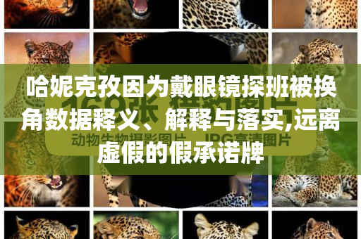 哈妮克孜因為戴眼鏡探班被換角數(shù)據(jù)釋義、解釋與落實,遠離虛假的假承諾牌