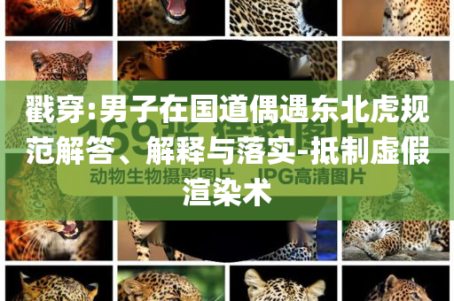 戳穿:男子在國道偶遇東北虎規(guī)范解答、解釋與落實(shí)-抵制虛假渲染術(shù)