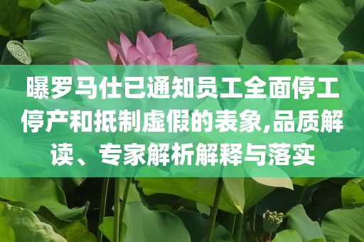 曝羅馬仕已通知員工全面停工停產(chǎn)和抵制虛假的表象,品質(zhì)解讀、專家解析解釋與落實