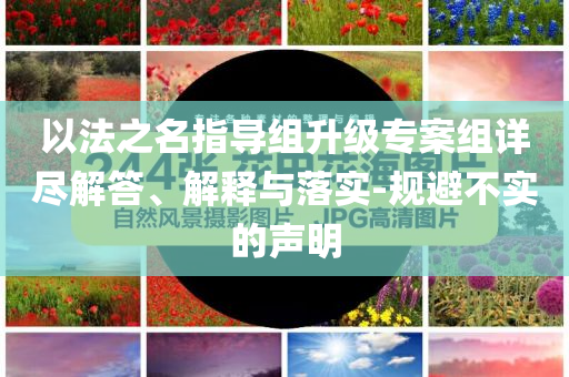 以法之名指導(dǎo)組升級專案組詳盡解答、解釋與落實-規(guī)避不實的聲明