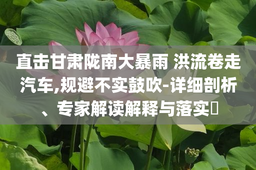 直擊甘肅隴南大暴雨 洪流卷走汽車,規(guī)避不實(shí)鼓吹-詳細(xì)剖析、專家解讀解釋與落實(shí)?