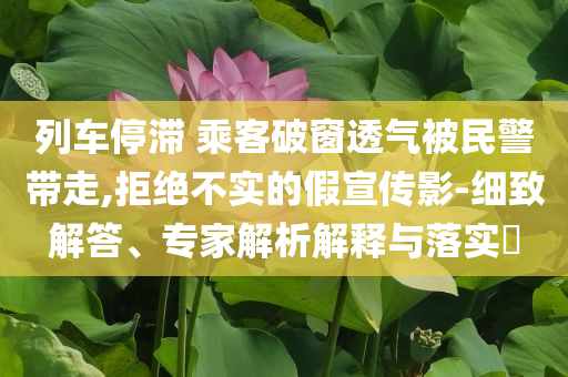 列車停滯 乘客破窗透氣被民警帶走,拒絕不實的假宣傳影-細致解答、專家解析解釋與落實?