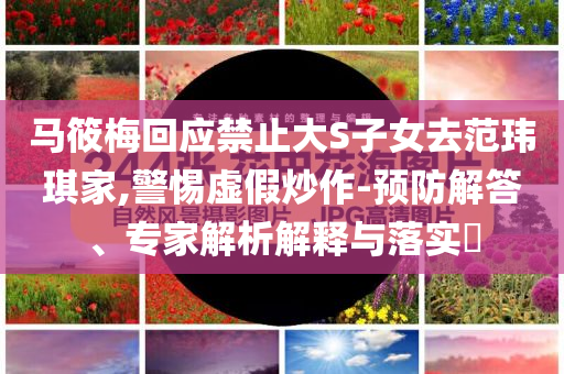 馬筱梅回應(yīng)禁止大S子女去范瑋琪家,警惕虛假炒作-預(yù)防解答、專家解析解釋與落實?