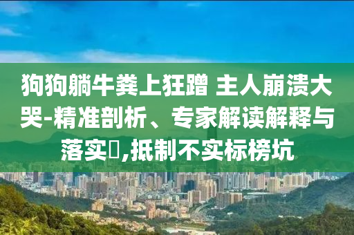 狗狗躺牛糞上狂蹭 主人崩潰大哭-精準(zhǔn)剖析、專家解讀解釋與落實?,抵制不實標(biāo)榜坑
