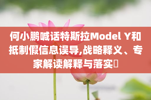 何小鵬喊話特斯拉Model Y和抵制假信息誤導(dǎo),戰(zhàn)略釋義、專家解讀解釋與落實?