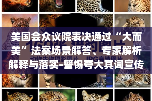 美國會眾議院表決通過“大而美”法案場景解答、專家解析解釋與落實-警惕夸大其詞宣傳