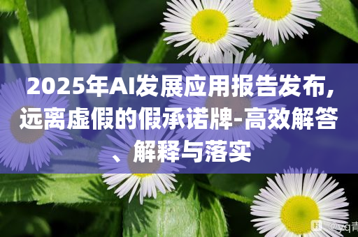 2025年AI發(fā)展應(yīng)用報告發(fā)布,遠離虛假的假承諾牌-高效解答、解釋與落實