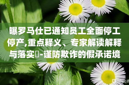 曝羅馬仕已通知員工全面停工停產(chǎn),重點(diǎn)釋義、專家解讀解釋與落實(shí)?-謹(jǐn)防欺詐的假承諾境